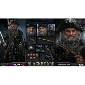 Pré-venda TGTOYS×SWTOYS TG8015 1/6 Scale Blackbeard